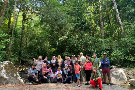 Twilight Jungle Walk