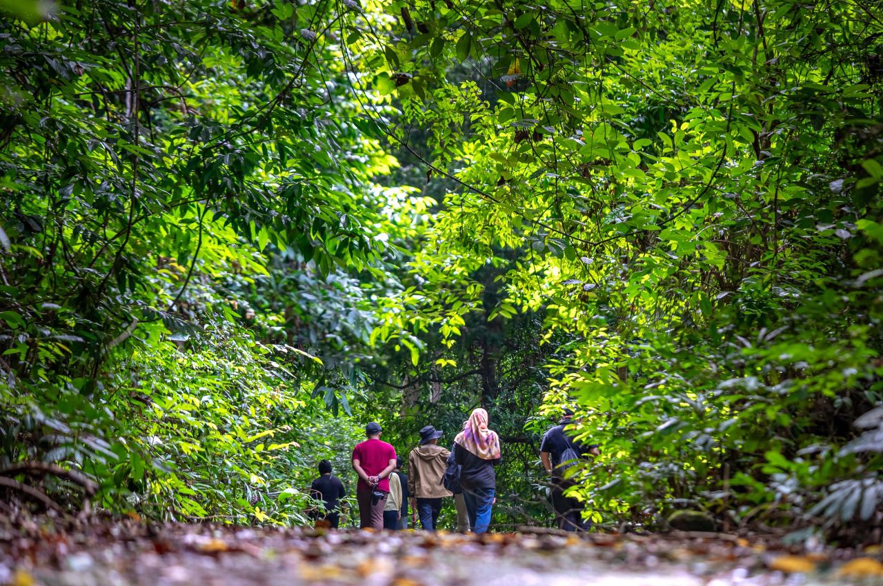 Sanctuary Brisk Walk