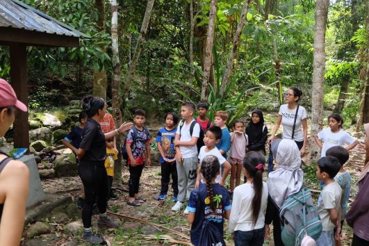 Kids Jungle Survivor